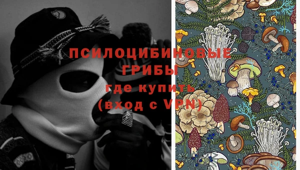 крисы Медногорск