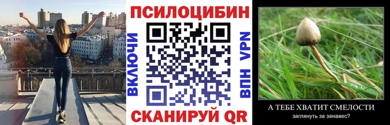 кракен   Пугачёв  Псилоцибиновые грибы GOLDEN TEACHER  где продают наркотики 
