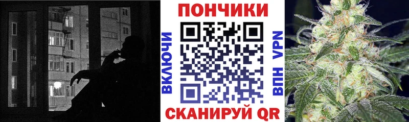 купить наркотик  Пугачёв  Марихуана план 